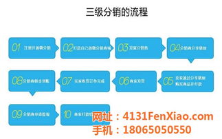 網加科技易站通 一站式網絡推廣教學與技術服務解析